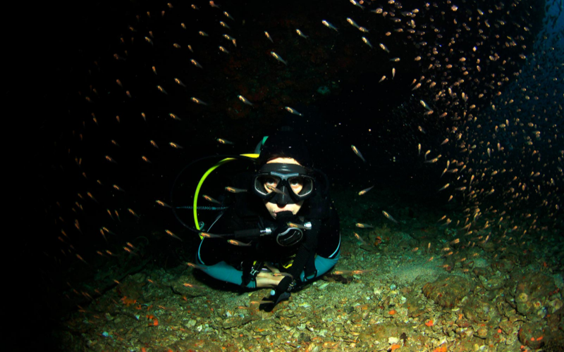 Night diving in Isla Mujeres