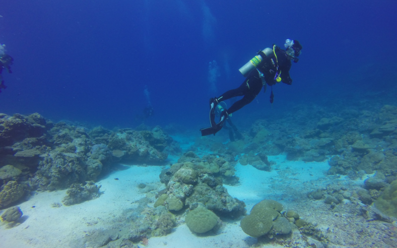 Certified scuba diving at Manchones Reef in Isla Mujeres